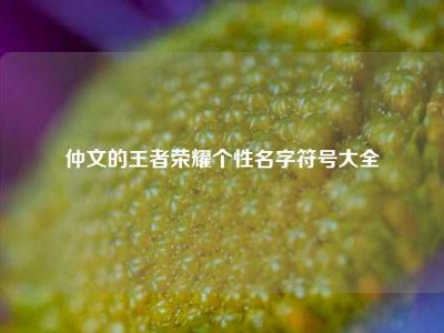 仲文的王者荣耀个性名字符号大全