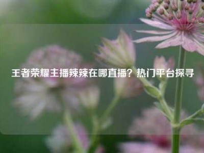 王者荣耀主播辣辣在哪直播？热门平台探寻