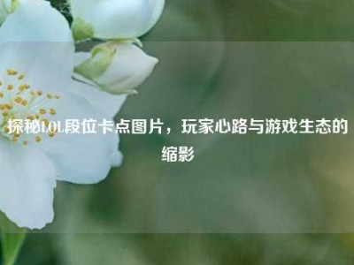 探秘LOL段位卡点图片，玩家心路与游戏生态的缩影
