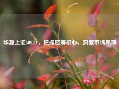 华夏上证50ETF，把握蓝筹核心，洞察市场风向