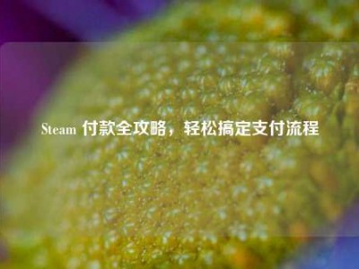 Steam 付款全攻略，轻松搞定支付流程