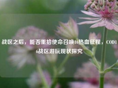 战区之后，能否重拾使命召唤16热血征程，COD16战区游玩现状探究