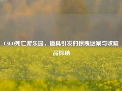 CSGO死亡游乐园，道具引发的惊魂谜案与收藏品探秘