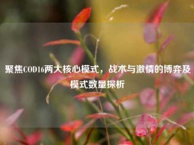 聚焦COD16两大核心模式，战术与激情的博弈及模式数量探析