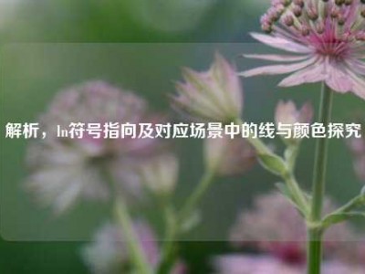 解析，ln符号指向及对应场景中的线与颜色探究
