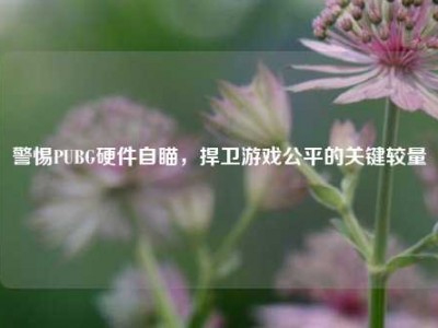 警惕PUBG硬件自瞄，捍卫游戏公平的关键较量