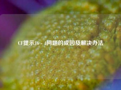 CF提示16 - 4问题的成因及解决办法