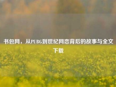 书包网，从PUBG到世纪网恋背后的故事与全文下载