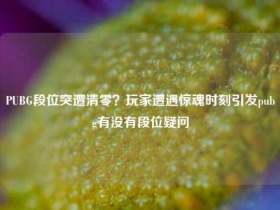 PUBG段位突遭清零？玩家遭遇惊魂时刻引发pubg有没有段位疑问