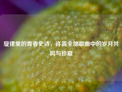 旋律里的青春史诗，许嵩全部歌曲中的岁月共鸣与珍藏