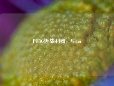 PUBG近战利器，Victor