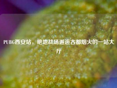 PUBG西安站，绝地战场邂逅古都烟火的一站大厅