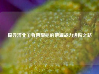 探寻河北王者荣耀铠的荣耀战力进阶之路