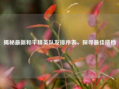 揭秘最新和平精英队友排序表，探寻最佳搭档