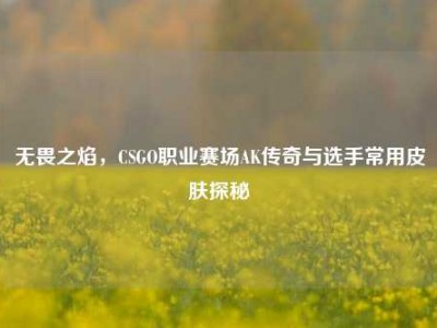 无畏之焰，CSGO职业赛场AK传奇与选手常用皮肤探秘