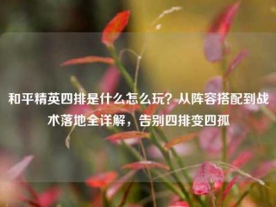 和平精英四排是什么怎么玩？从阵容搭配到战术落地全详解，告别四排变四孤
