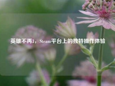 英雄不再3，Steam平台上的独特操作体验