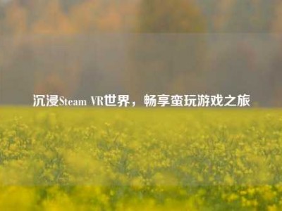 沉浸Steam VR世界，畅享蛮玩游戏之旅