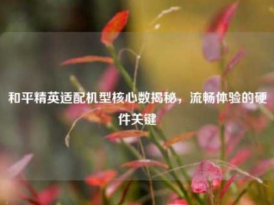 和平精英适配机型核心数揭秘，流畅体验的硬件关键