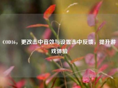 COD16，更改击中音效与设置击中反馈，提升游戏体验