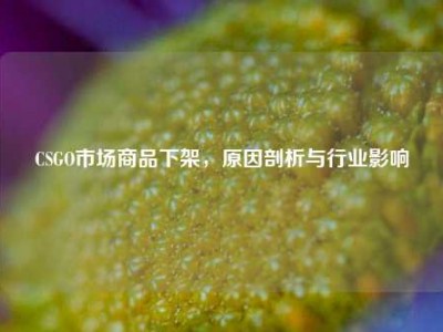 CSGO市场商品下架，原因剖析与行业影响