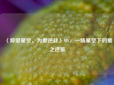 〈仰望星空，为爱逆战〉MV，一场星空下的爱之逆旅