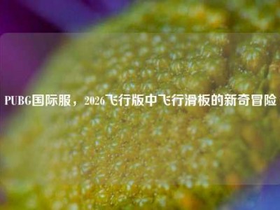 PUBG国际服，2026飞行版中飞行滑板的新奇冒险