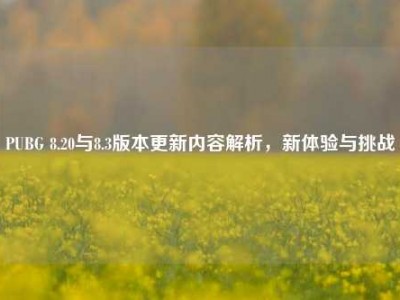 PUBG 8.20与8.3版本更新内容解析，新体验与挑战