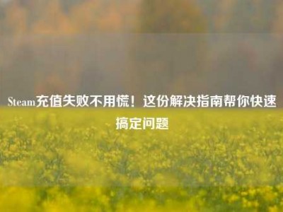 Steam充值失败不用慌！这份解决指南帮你快速搞定问题