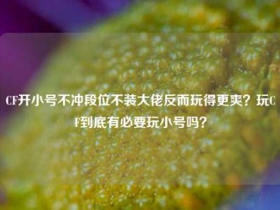 CF开小号不冲段位不装大佬反而玩得更爽？玩CF到底有必要玩小号吗？