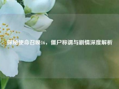 探秘使命召唤16，僵尸称谓与剧情深度解析