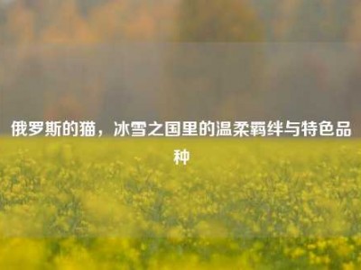 俄罗斯的猫，冰雪之国里的温柔羁绊与特色品种