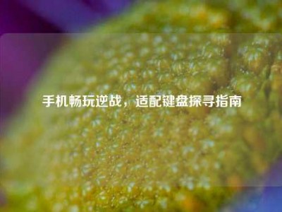 手机畅玩逆战，适配键盘探寻指南