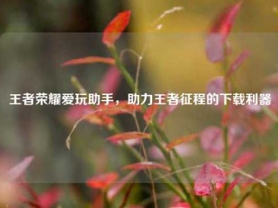 王者荣耀爱玩助手，助力王者征程的下载利器