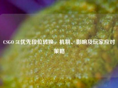 CSGO 5E优先段位转换，机制、影响及玩家应对策略