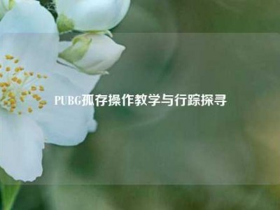 PUBG孤存操作教学与行踪探寻