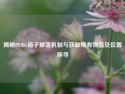 揭秘PUBG箱子掉落机制与获取稀有物品及位置探寻