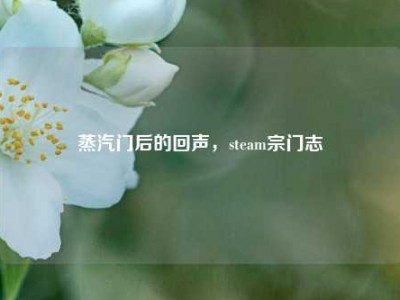 蒸汽门后的回声，steam宗门志