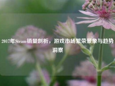 2017年Steam销量剖析，游戏市场繁荣景象与趋势洞察