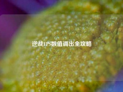 逆战FPS数值调出全攻略