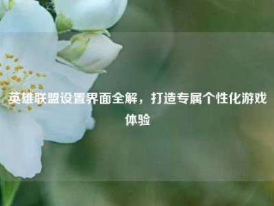 英雄联盟设置界面全解，打造专属个性化游戏体验