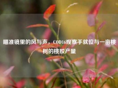 瞄准镜里的风与声，COD16观察手就位与一亩桃树的桃胶产量