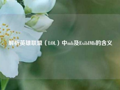 解析英雄联盟（LOL）中mb及ExibIMb的含义
