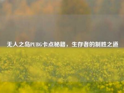 无人之岛PUBG卡点秘籍，生存者的制胜之道