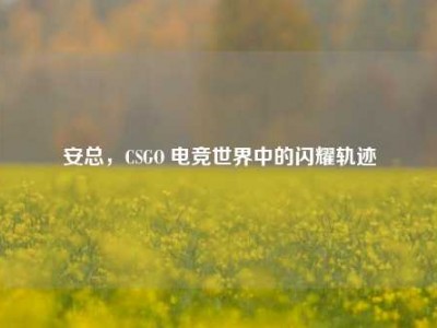 安总，CSGO 电竞世界中的闪耀轨迹