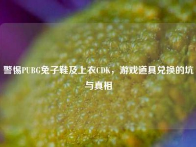 警惕PUBG兔子鞋及上衣CDK，游戏道具兑换的坑与真相