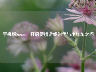 手机版Steam，开启便携游戏时代与小红车之问