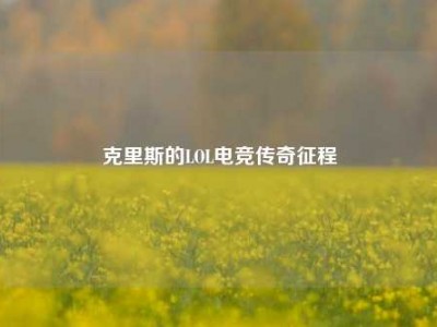 克里斯的LOL电竞传奇征程