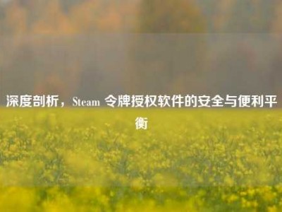 深度剖析，Steam 令牌授权软件的安全与便利平衡