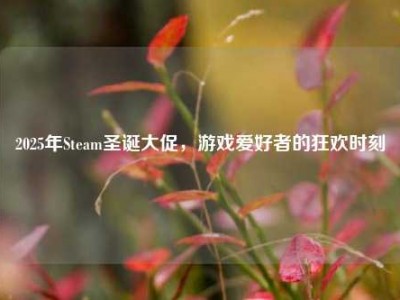 2025年Steam圣诞大促，游戏爱好者的狂欢时刻